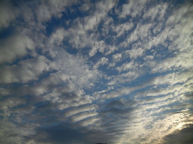 e0086315_949493.jpg
