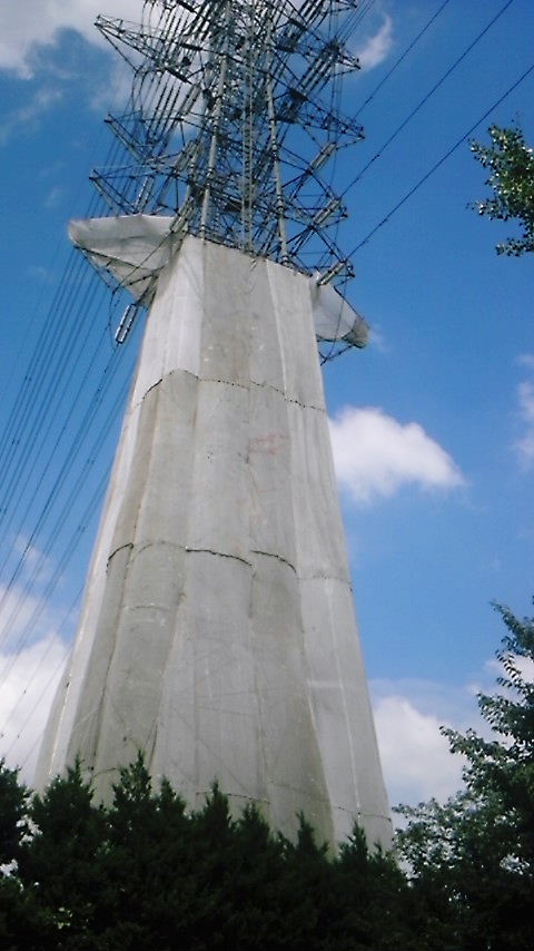 b0080718_13414922.jpg