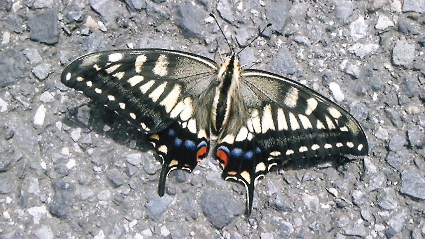 b0080718_1352715.jpg