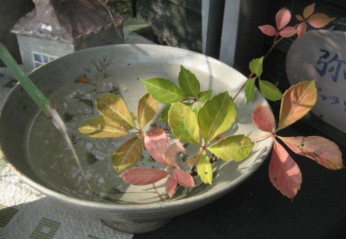 f0139520_2010513.jpg