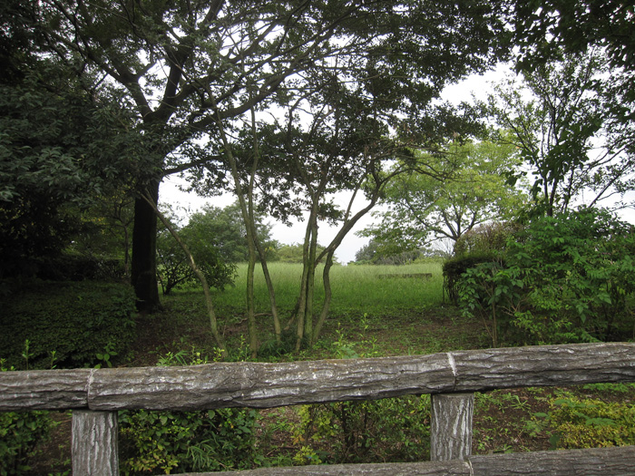 e0244621_2111636.jpg
