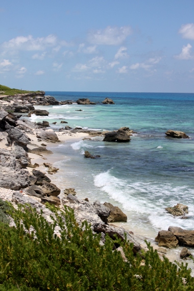 f0151222_2412157.jpg