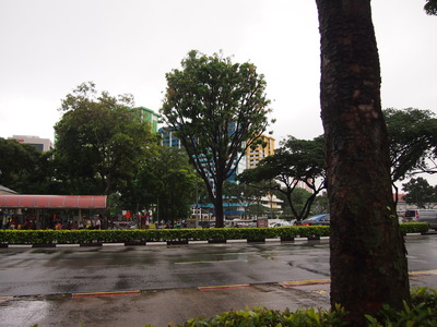 c0103830_15171553.jpg