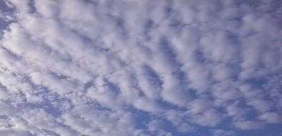f0186330_992957.jpg