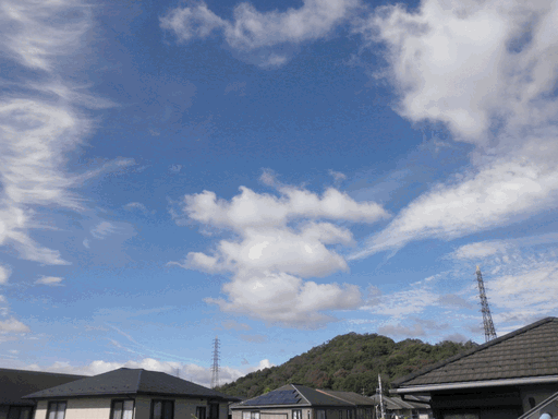 c0136736_17331270.gif