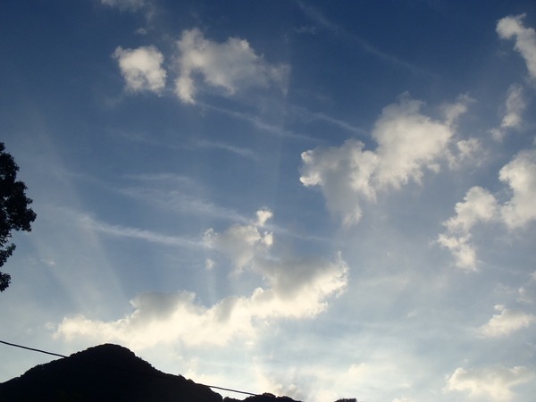 a0054240_0261635.jpg