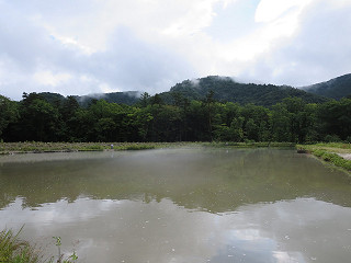 f0065341_16534898.jpg