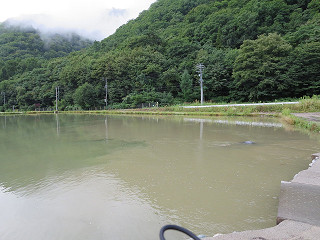 f0065341_1654133.jpg