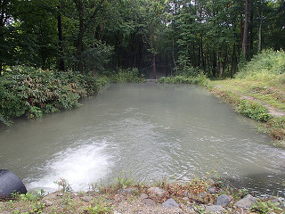 f0065341_16563187.jpg