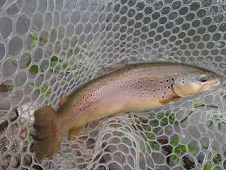 f0065341_1659572.jpg