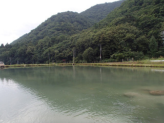 f0065341_17114120.jpg
