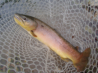 f0065341_1712171.jpg