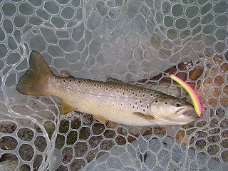 f0065341_17153117.jpg