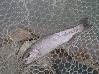 f0065341_1723842.jpg