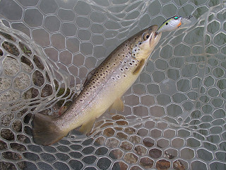 f0065341_1725297.jpg