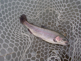 f0065341_177195.jpg