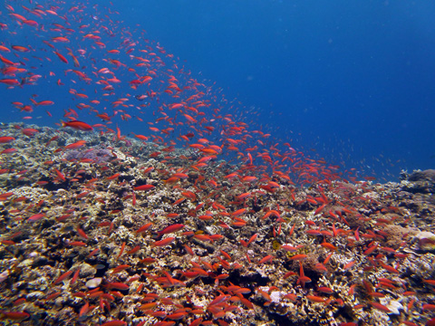 f0014842_1917878.jpg