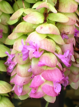 b0289649_20383268.jpg