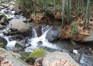 c0171349_1736257.jpg
