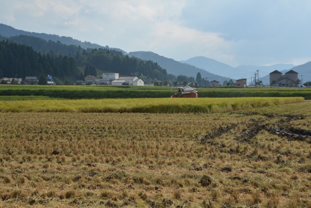 c0145453_1754215.jpg