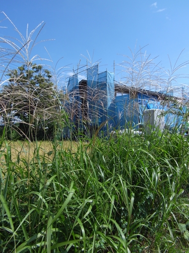 c0166668_6103324.jpg