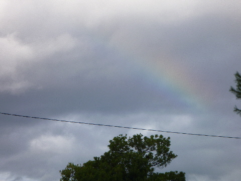 e0161972_1330581.jpg