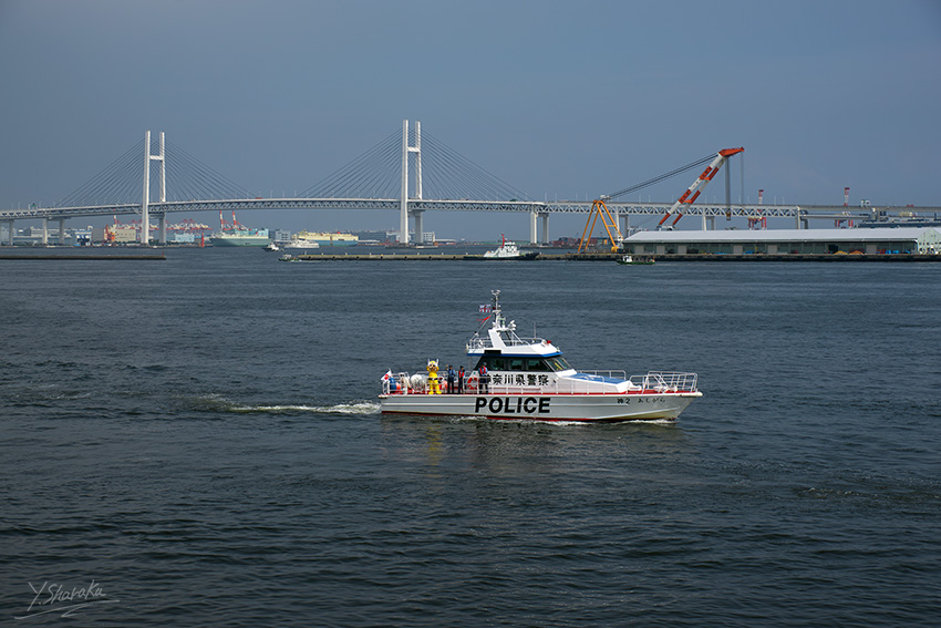 e0153076_2325231.jpg
