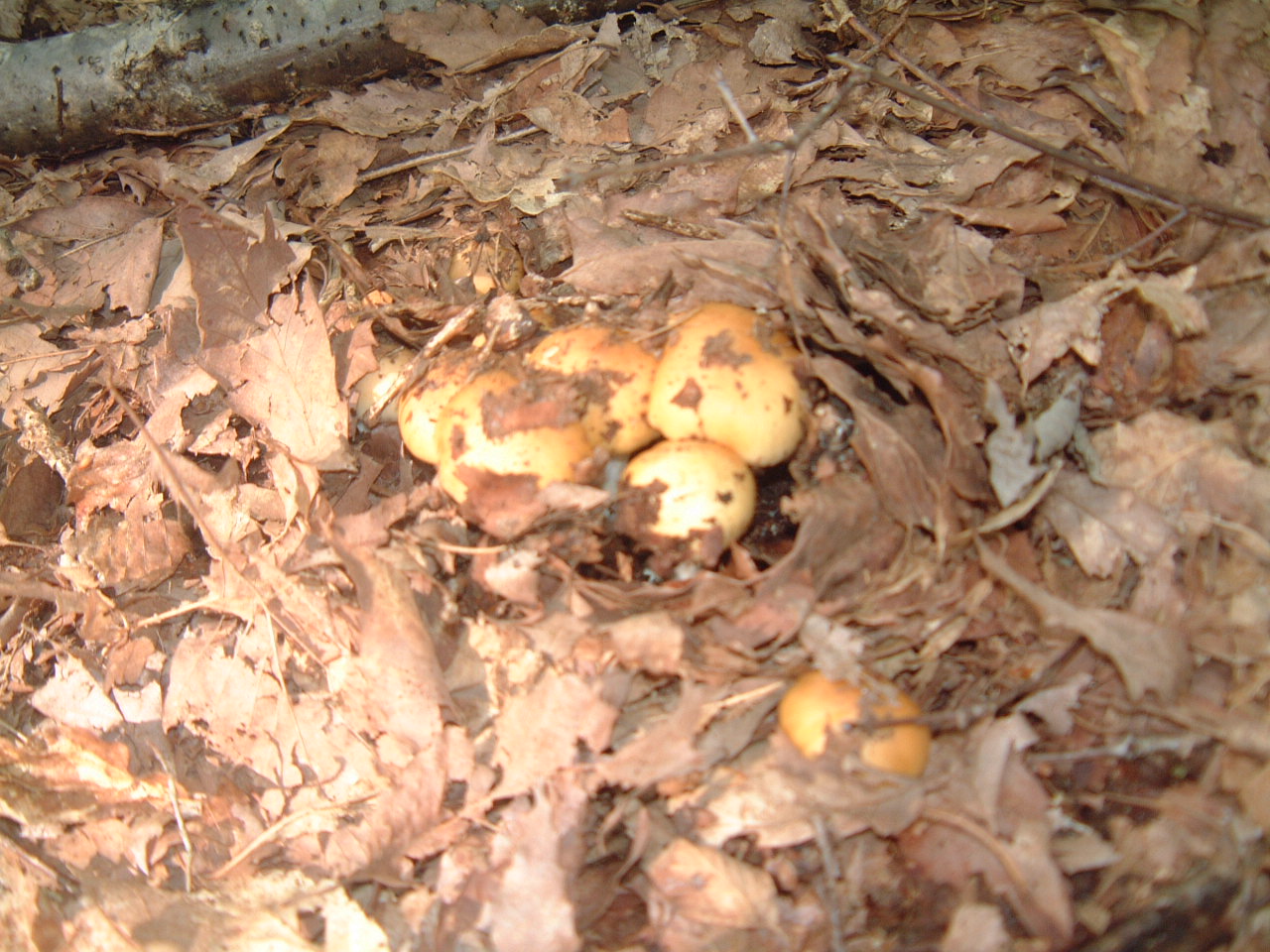c0237780_17113567.jpg