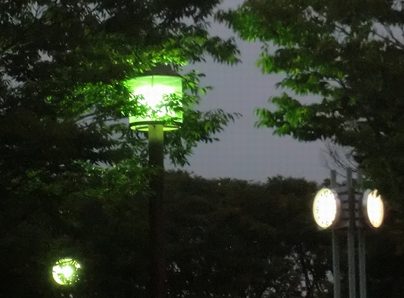 e0143690_3333249.jpg