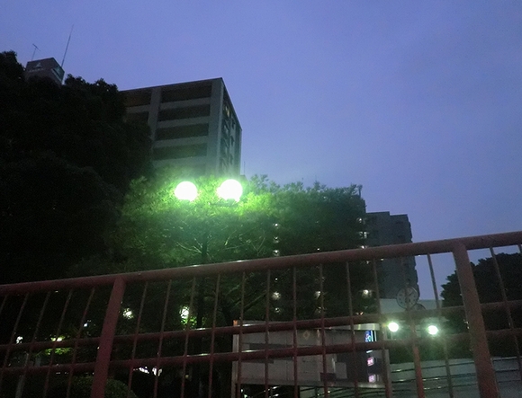 e0143690_336564.jpg