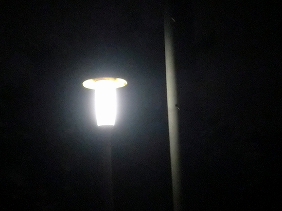 e0143690_4153312.jpg