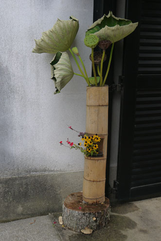 f0222692_16554720.jpg