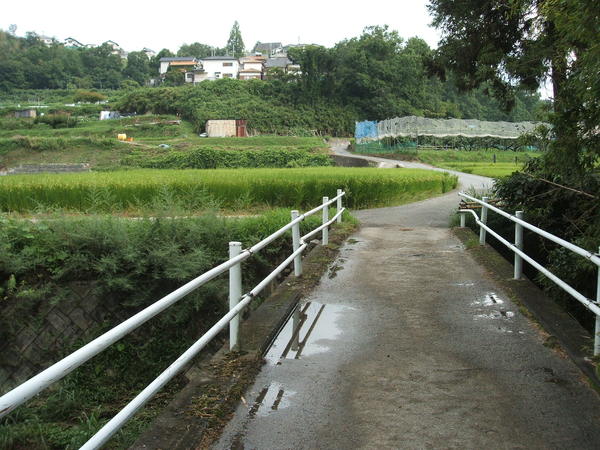 b0212898_10886.jpg