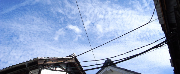 c0015099_2049445.jpg