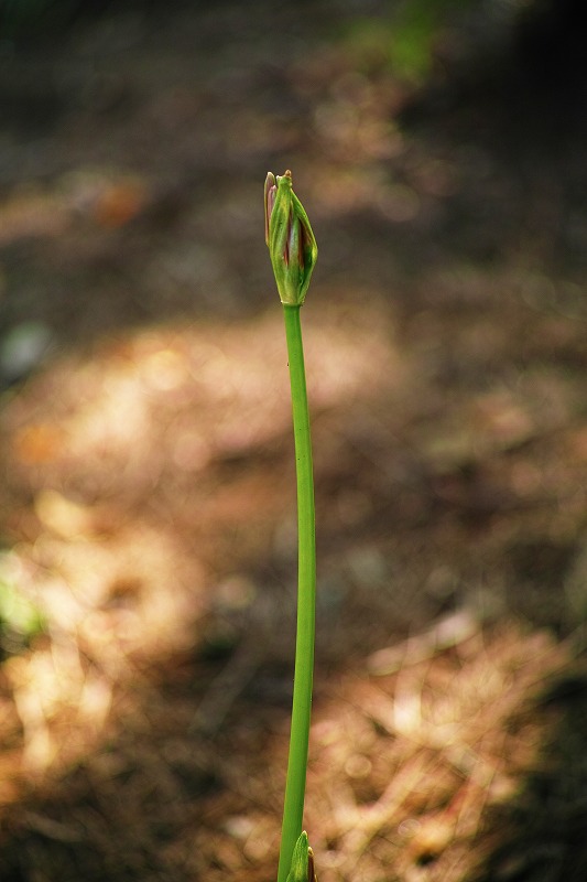 f0224100_2195518.jpg