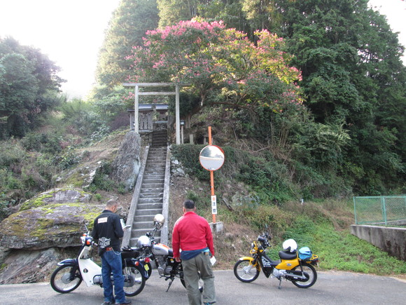 e0157602_1125571.jpg