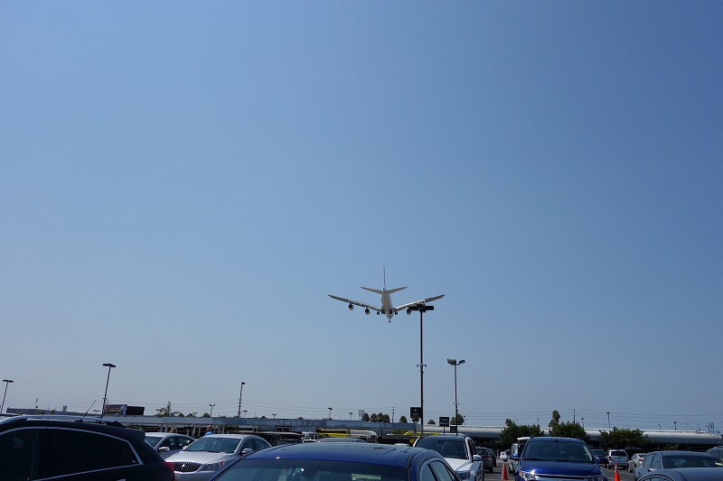 e0181908_1764977.jpg