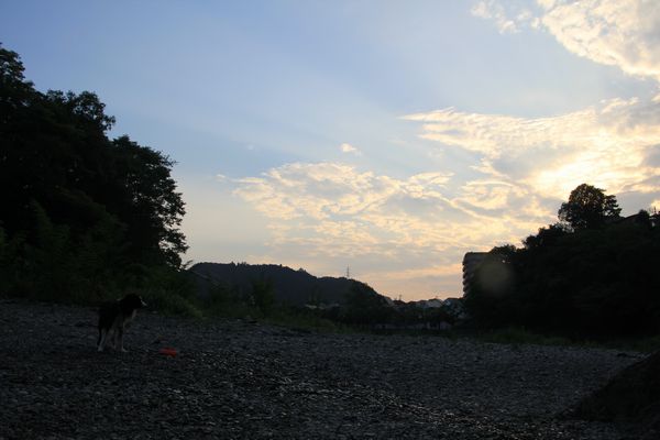 d0224111_2215226.jpg
