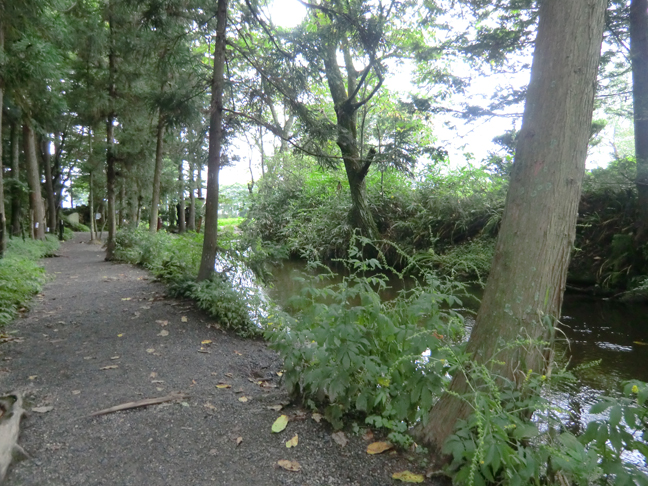 c0292312_2284516.jpg