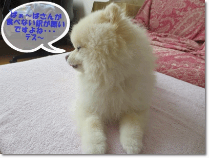 b0167519_16181685.gif
