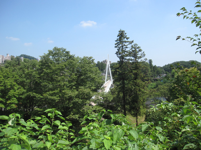 e0244621_21374565.jpg