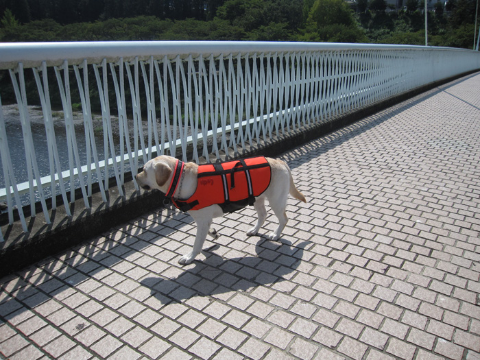 e0244621_21382748.jpg