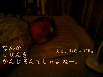 a0113323_2135386.jpg