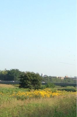 b0203925_829156.jpg