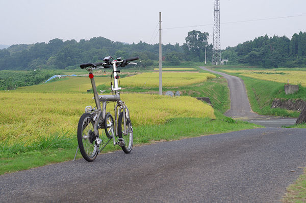 f0007926_1141264.jpg