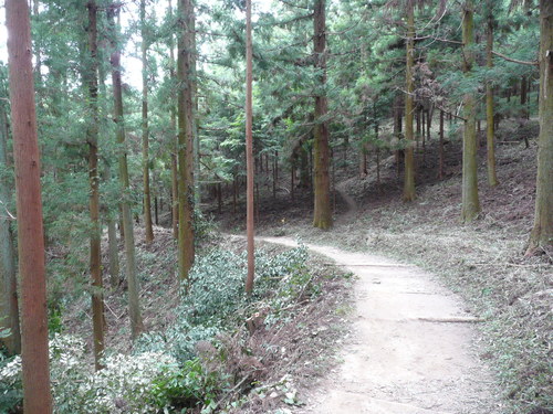 c0009528_2141311.jpg