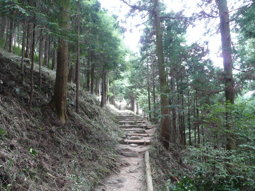 c0009528_2142975.jpg