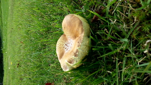 e0272438_21535175.jpg