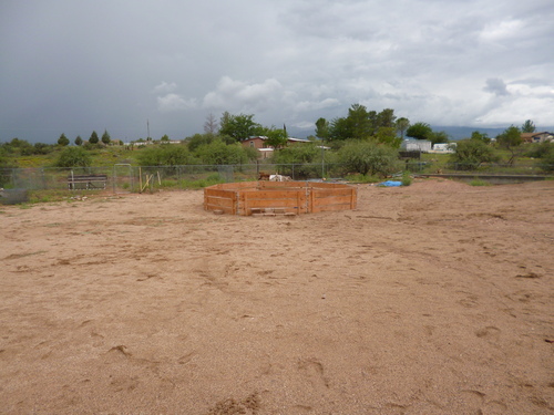 a0308646_3374137.jpg
