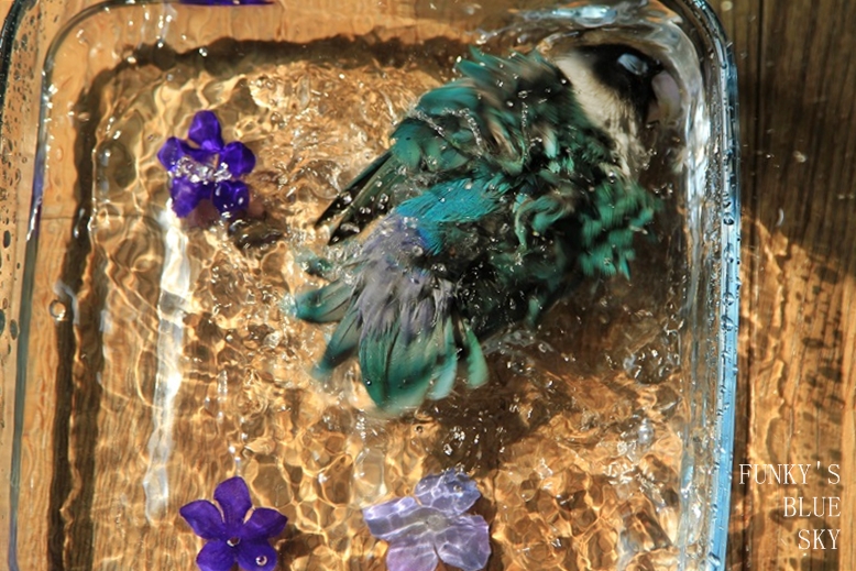 c0145250_1071799.jpg